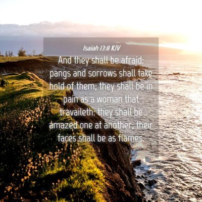Picture 04 - Isaiah 13:8 KJV - And they shall be afraid: pangs and sorrows shall - Bible Verse Picture