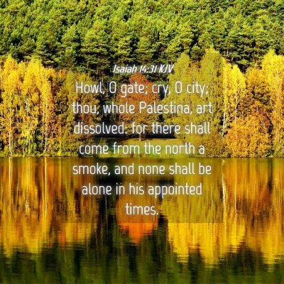 Picture 04 - Isaiah 14:31 KJV - Howl, O gate; cry, O city; thou, whole Palestina, - Bible Verse Picture