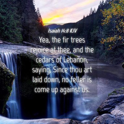 Picture 04 - Isaiah 14:8 KJV - Yea, the fir trees rejoice at thee, and the - Bible Verse Picture