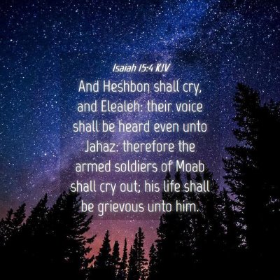 Picture 04 - Isaiah 15:4 KJV - And Heshbon shall cry, and Elealeh: their voice - Bible Verse Picture