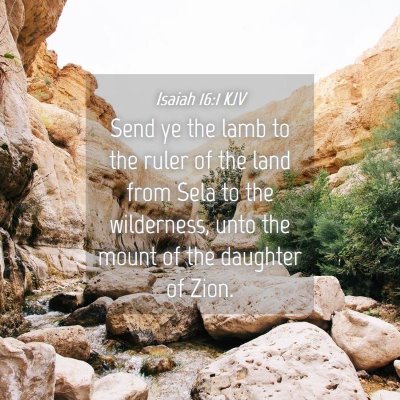 Picture 04 - Isaiah 16:1 KJV - Send ye the lamb to the ruler of the land from - Bible Verse Picture