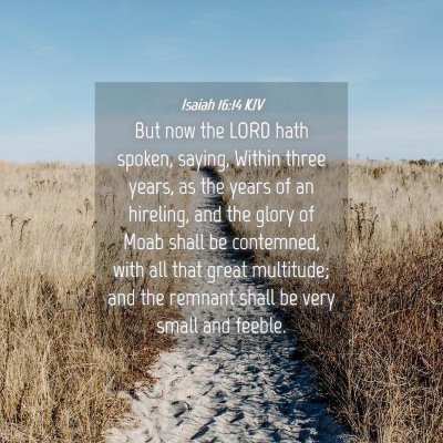 Picture 04 - Isaiah 16:14 KJV - But now the LORD hath spoken, saying, Within - Bible Verse Picture