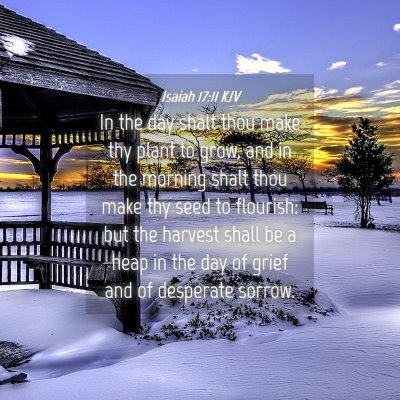 Picture 04 - Isaiah 17:11 KJV - In the day shalt thou make thy plant to grow, and - Bible Verse Picture
