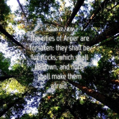 Picture 04 - Isaiah 17:2 KJV - The cities of Aroer are forsaken: they shall be - Bible Verse Picture