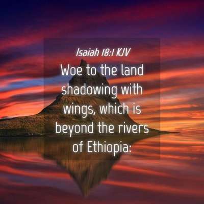 Picture 04 - Isaiah 18:1 KJV - Woe to the land shadowing with wings, which is - Bible Verse Picture