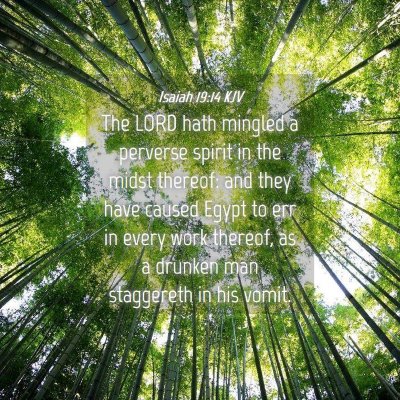 Picture 04 - Isaiah 19:14 KJV - The LORD hath mingled a perverse spirit in the - Bible Verse Picture