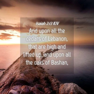 Picture 04 - Isaiah 2:13 KJV - And upon all the cedars of Lebanon, that are high - Bible Verse Picture