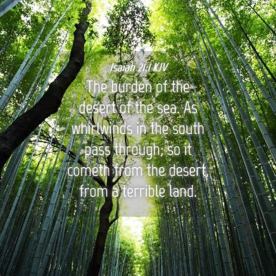 Picture 04 - Isaiah 21:1 KJV - The burden of the desert of the sea. As - Bible Verse Picture