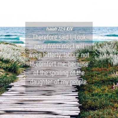 Picture 04 - Isaiah 22:4 KJV - Therefore said I, Look away from me; I will weep - Bible Verse Picture