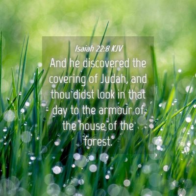 Picture 04 - Isaiah 22:8 KJV - And he discovered the covering of Judah, and thou - Bible Verse Picture