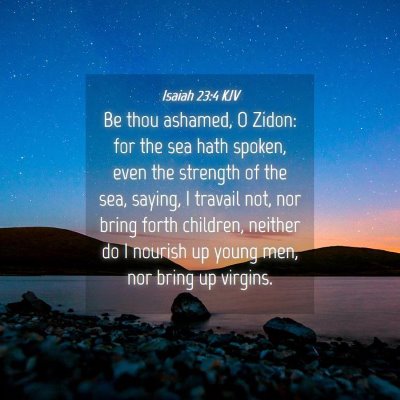 Picture 04 - Isaiah 23:4 KJV - Be thou ashamed, O Zidon: for the sea hath - Bible Verse Picture