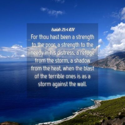 Picture 04 - Isaiah 25:4 KJV - For thou hast been a strength to the poor, a - Bible Verse Picture
