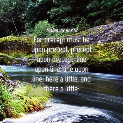 Picture 04 - Isaiah 28:10 KJV - For precept must be upon precept, precept upon - Bible Verse Picture