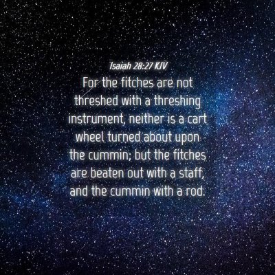 Picture 04 - Isaiah 28:27 KJV - For the fitches are not threshed with a threshing - Bible Verse Picture