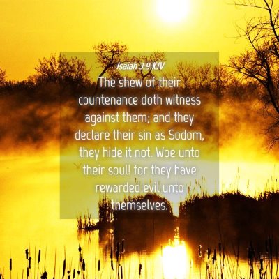 Picture 04 - Isaiah 3:9 KJV - The shew of their countenance doth witness - Bible Verse Picture