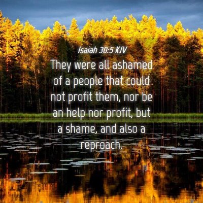 Picture 04 - Isaiah 30:5 KJV - They were all ashamed of a people that could not - Bible Verse Picture
