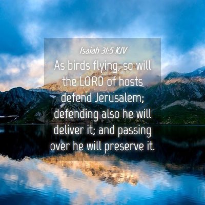 Picture 04 - Isaiah 31:5 KJV - As birds flying, so will the LORD of hosts defend - Bible Verse Picture