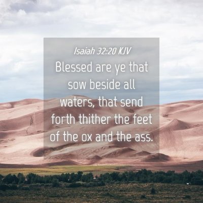 Picture 04 - Isaiah 32:20 KJV - Blessed are ye that sow beside all waters, that - Bible Verse Picture
