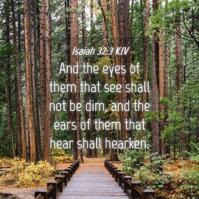 Picture 04 - Isaiah 32:3 KJV - And the eyes of them that see shall not be dim, - Bible Verse Picture