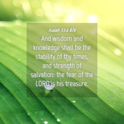Picture 04 - Isaiah 33:6 KJV - And wisdom and knowledge shall be the stability - Bible Verse Picture