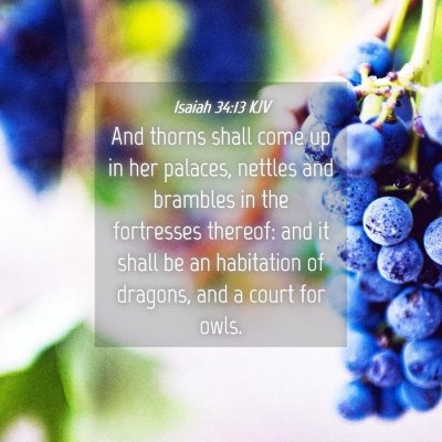 Picture 04 - Isaiah 34:13 KJV - And thorns shall come up in her palaces, nettles - Bible Verse Picture