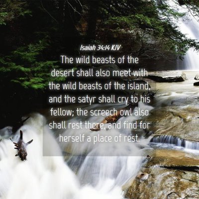 Picture 04 - Isaiah 34:14 KJV - The wild beasts of the desert shall also meet - Bible Verse Picture