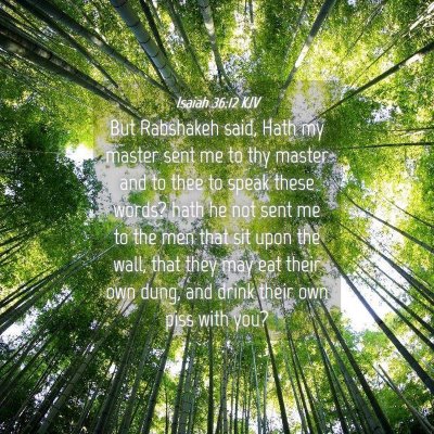 Picture 04 - Isaiah 36:12 KJV - But Rabshakeh said, Hath my master sent me to thy - Bible Verse Picture