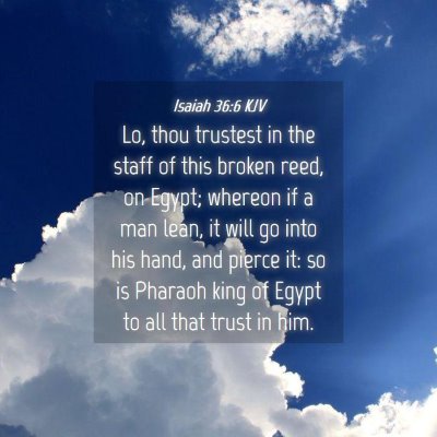 Picture 04 - Isaiah 36:6 KJV - Lo, thou trustest in the staff of this broken - Bible Verse Picture