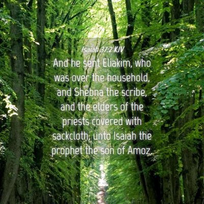 Picture 04 - Isaiah 37:2 KJV - And he sent Eliakim, who was over the household, - Bible Verse Picture