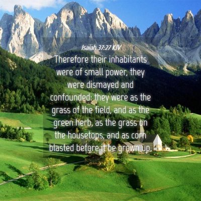 Picture 04 - Isaiah 37:27 KJV - Therefore their inhabitants were of small power, - Bible Verse Picture