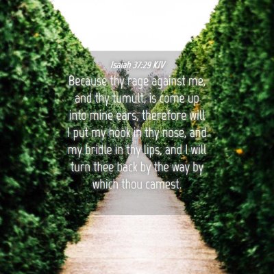 Picture 04 - Isaiah 37:29 KJV - Because thy rage against me, and thy tumult, is - Bible Verse Picture