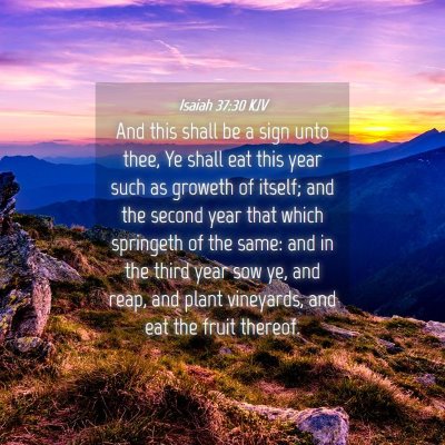 Picture 04 - Isaiah 37:30 KJV - And this shall be a sign unto thee, Ye shall eat - Bible Verse Picture