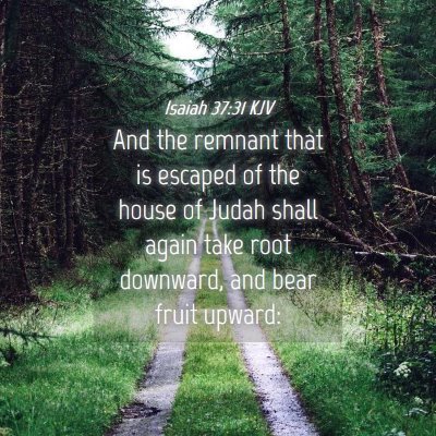 Picture 04 - Isaiah 37:31 KJV - And the remnant that is escaped of the house of - Bible Verse Picture