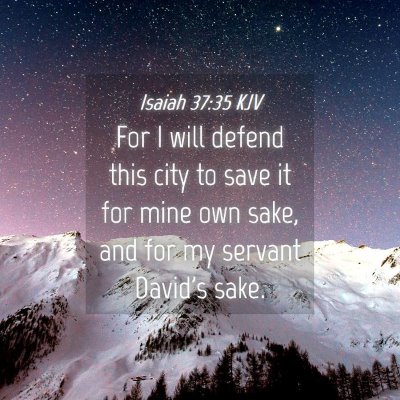 Picture 04 - Isaiah 37:35 KJV - For I will defend this city to save it for mine - Bible Verse Picture