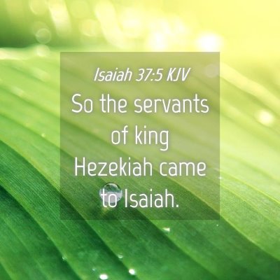 Picture 04 - Isaiah 37:5 KJV - So the servants of king Hezekiah came to - Bible Verse Picture