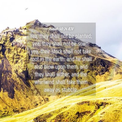 Picture 04 - Isaiah 40:24 KJV - Yea, they shall not be planted; yea, they shall - Bible Verse Picture