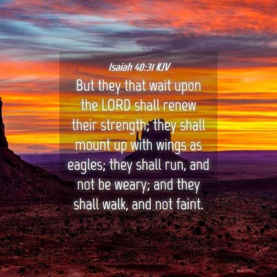 Picture 04 - Isaiah 40:31 KJV - But they that wait upon the LORD shall renew - Bible Verse Picture