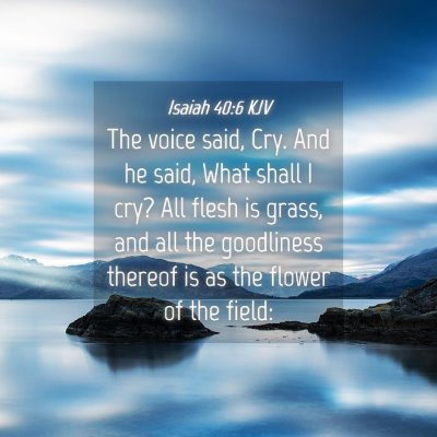 Picture 04 - Isaiah 40:6 KJV - The voice said, Cry. And he said, What shall I - Bible Verse Picture