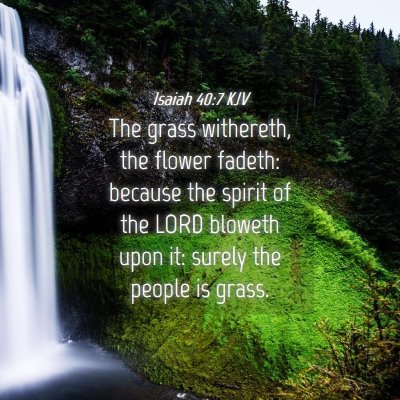 Picture 04 - Isaiah 40:7 KJV - The grass withereth, the flower fadeth: because - Bible Verse Picture