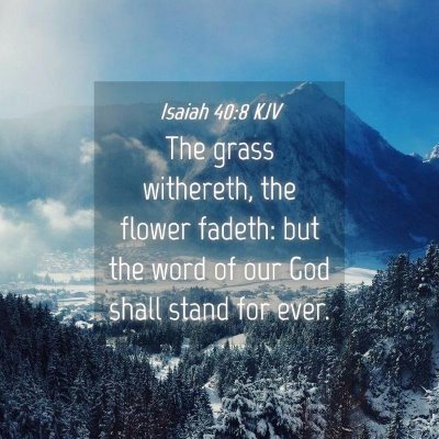 Picture 04 - Isaiah 40:8 KJV - The grass withereth, the flower fadeth: but the - Bible Verse Picture