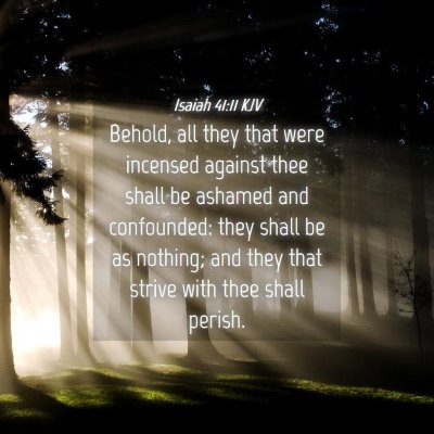 Picture 04 - Isaiah 41:11 KJV - Behold, all they that were incensed against thee - Bible Verse Picture