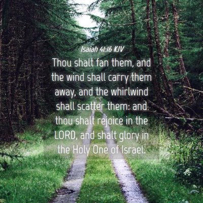 Picture 04 - Isaiah 41:16 KJV - Thou shalt fan them, and the wind shall carry - Bible Verse Picture