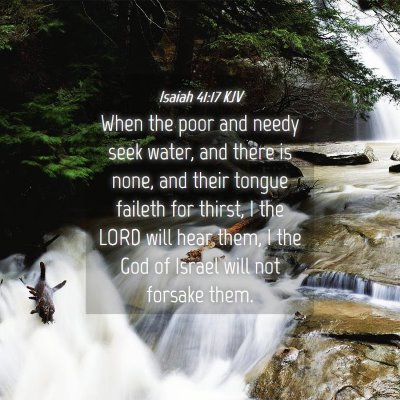 Picture 04 - Isaiah 41:17 KJV - When the poor and needy seek water, and there is - Bible Verse Picture