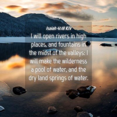Picture 04 - Isaiah 41:18 KJV - I will open rivers in high places, and fountains - Bible Verse Picture