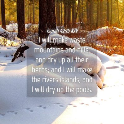 Picture 04 - Isaiah 42:15 KJV - I will make waste mountains and hills, and dry up - Bible Verse Picture