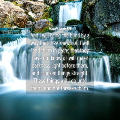 Picture 04 - Isaiah 42:16 KJV - And I will bring the blind by a way that they - Bible Verse Picture
