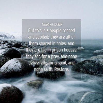 Picture 04 - Isaiah 42:22 KJV - But this is a people robbed and spoiled; they are - Bible Verse Picture