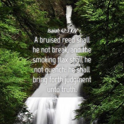 Picture 04 - Isaiah 42:3 KJV - A bruised reed shall he not break, and the - Bible Verse Picture