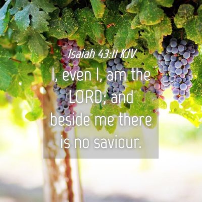 Picture 04 - Isaiah 43:11 KJV - I, even I, am the LORD; and beside me there is no - Bible Verse Picture