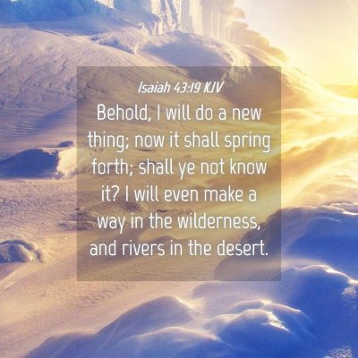 Picture 04 - Isaiah 43:19 KJV - Behold, I will do a new thing; now it shall - Bible Verse Picture
